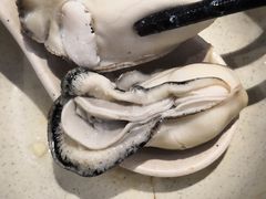 -千岛蚝高压锅生蚝·人参火锅(白云万达店)