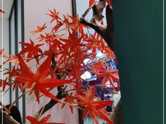 -望湘园·洞庭渔宴(永旺店)