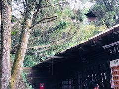 -金盆阿嬷香菇茶叶蛋(玄光店)
