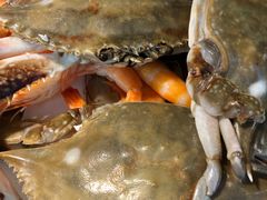 -欢乐牧场海鲜烤肉自助(牡丹园店)