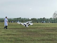 -盐城丹顶鹤湿地生态旅游区