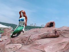-大连老虎滩海洋公园