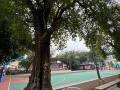 -三溪村