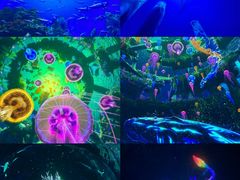 -海合安成都极地海洋公园