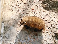 -西霞口神雕山野生动物世界