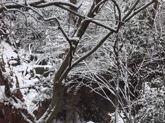 -波尔登森林公园
