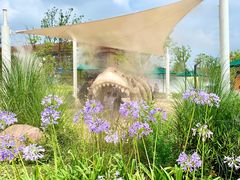 -季高兔窝窝亲子园(上海薰衣草公园店)