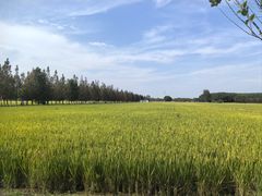 -嘉北郊野公园