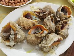 -白石桥南(地铁站)