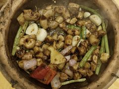 -天宝食坊·啫啫煲大排档(西华路店)