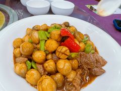 -肥妈顺峰山庄(金峰店)