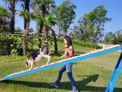 -上海崇明金茂凯悦酒店