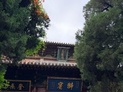 -洛阳白马寺