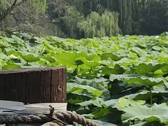 -白鹭湾湿地公园