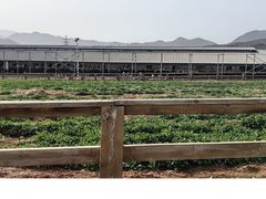 -君乐宝优致牧场