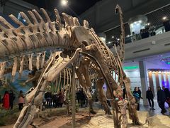 -自贡恐龙博物馆