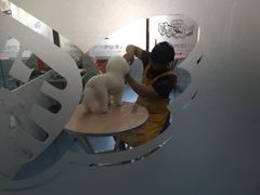 -瑞派宠物医院·24小时骨科·心脏·核磁(哈尔滨南岗店)