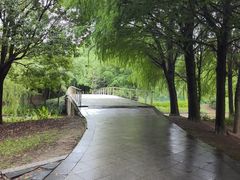 -同里国家湿地公园