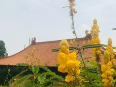 -南沙天后宫景区