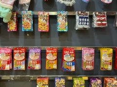 -喵百万·布偶·蓝金金渐层英短·猫舍(百子湾店)