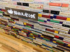 -猫的天空之城概念书店(束河店)