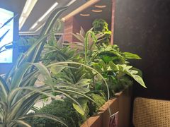 -许爷家·生态湖鲜(徐汇日月光店)