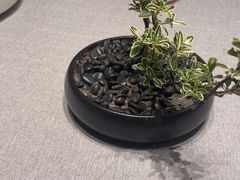 -龙宴海鲜城(经中路店)