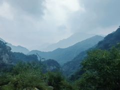 -大岭沟猕猴桃谷风景区