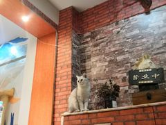 -万小咖.猫咖(中山路天虹店)