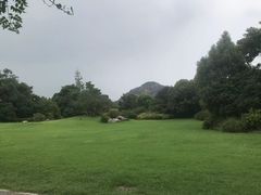 -桃花岛景观公园