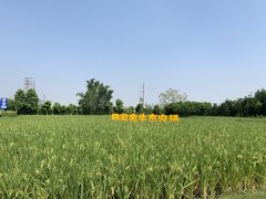 -迪茵湖田家舍生态农场