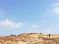 -恋山坝上草原