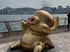 -星光大道