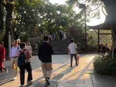 -荔湾湖公园
