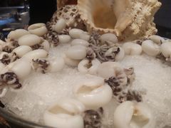 -OPEN開全日自助餐厅·西餐·海鲜(佛山希尔顿酒店)