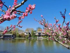 -春晖园度假酒店温泉