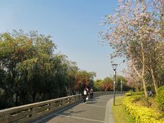 -立新湖公园