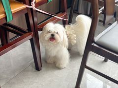 -蟹天蟹地农家菜·阳澄湖大闸蟹(浅水湾店)