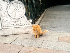 -红螺寺