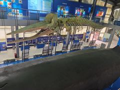 -上海海洋大学鱼文化博物馆(军工路校区)