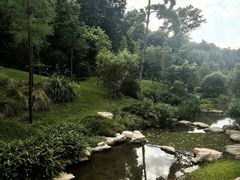 -云溪植物园
