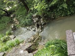 -杭州植物园