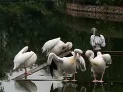 -广州动物园