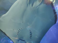 -波塞冬旅游度假区