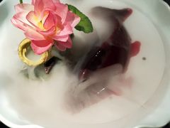 -老牌坊鱼豆花火锅(东盛大街店)