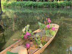 -同里国家湿地公园