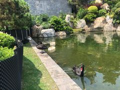 -南宁荔园维景国际酒店·荔园中餐厅