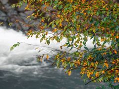 -光雾山旅游景区