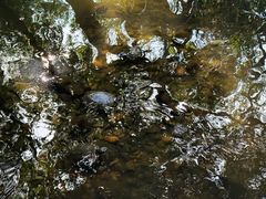 -南岳衡山风景名胜区-南岳大庙