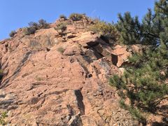 -红山国家森林公园